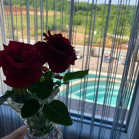 Appartamento Amela *